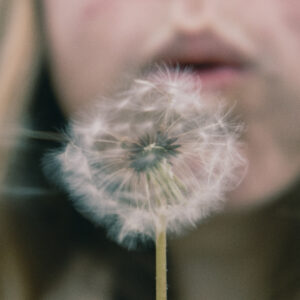 Fotografie, Closeup: Frau lässt Löwenzahn-Sahmen fliegen.
